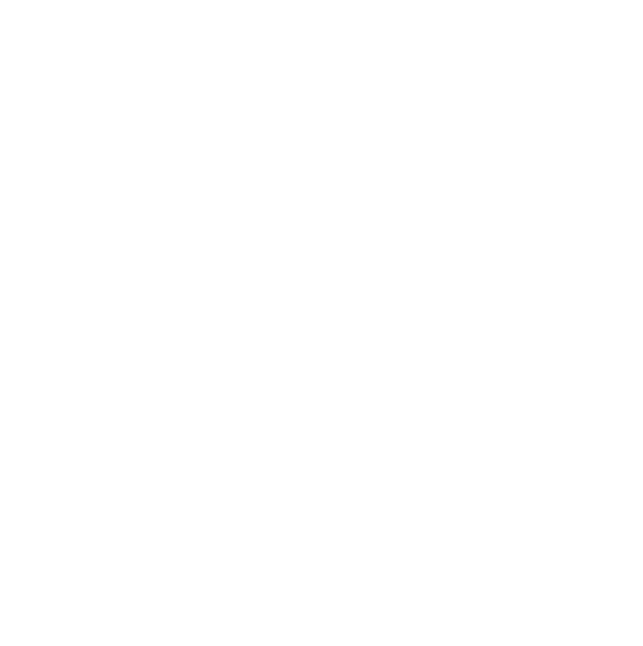 Corporate Seal